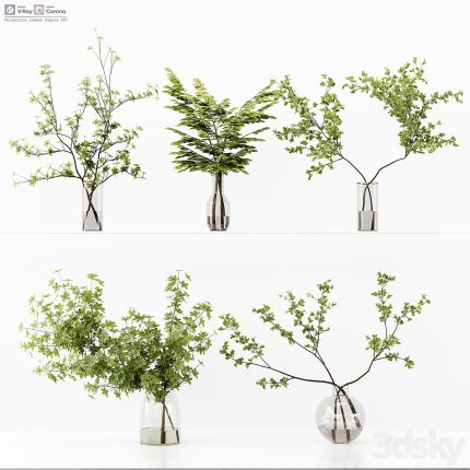 3dline - Collection Indoor Plants 037 0