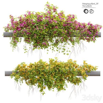 3dline - Hanging Plant 23 0