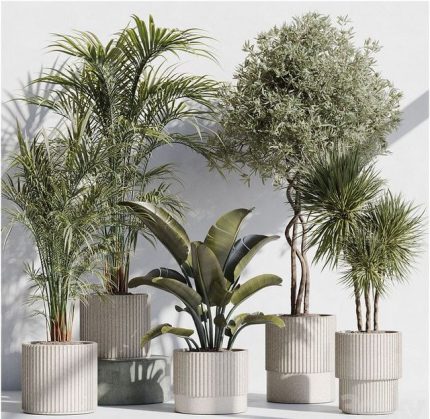 3dline - Indoor plant set 69 in modern pot 0
