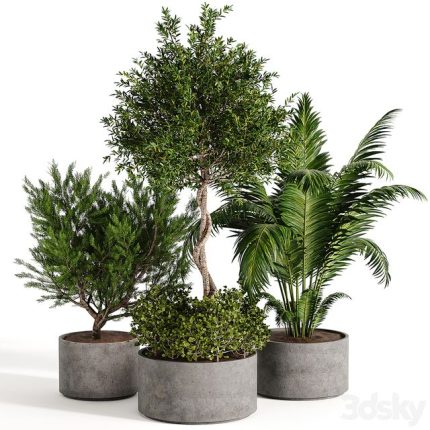 3dline - Outdoor plant collection 02 0
