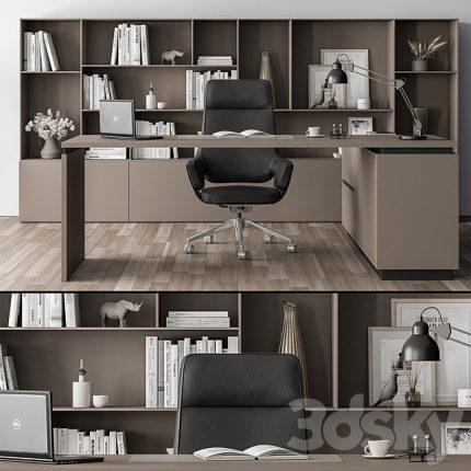 3dline - Boss Desk and Library Black and Beige