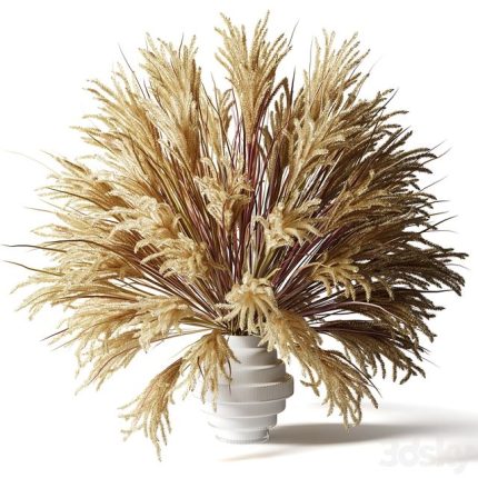 3dline - Fluffy bouquet of dry grass with tails in a glass white vase 0