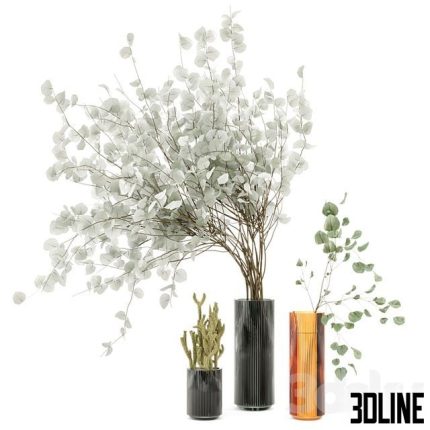Indoor Plants Cactus & Eucalyptus whit Glass Pots 0(3dline.net)