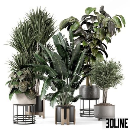 Indoor Plants in Ferm Living Bau Pot Large - Set 1351 0(3dline.net)