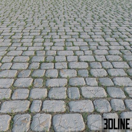 Paving Stone and Grass 0(3dline.net)