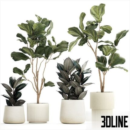Set of beautiful trees in pots 1244 0(3dline.net)
