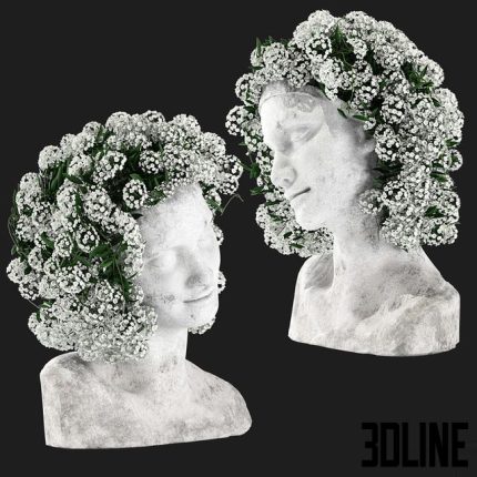 Taiki's Head 0(3dline.net)