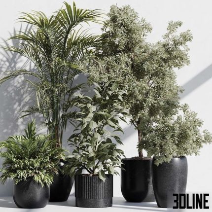 indoor plant set 85 0(3dline.net)