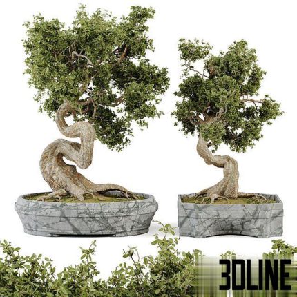Bonsai Set Vol 01 0(3dline.net)