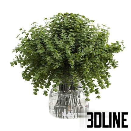 Branches plant with galss vase white – bouquet 36 0(3dline.net)