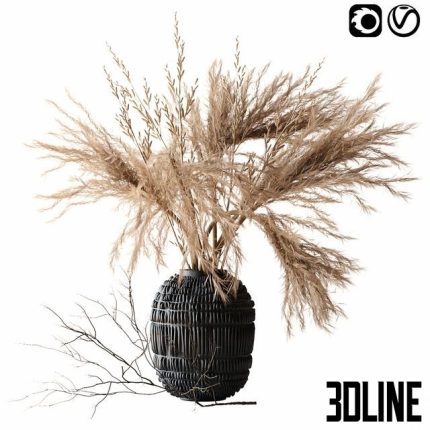 Brown pampas 0(3dline.net)