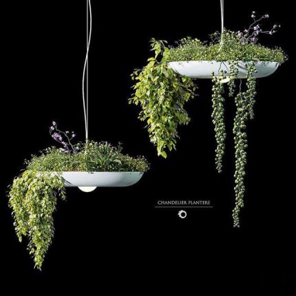 Chandelier plant pot 0(3dline.net)