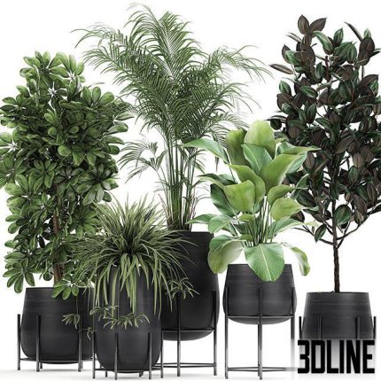 Collection of plants in pots on legs Set 769 0(3dline.net)