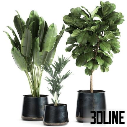 Collection of plants in stylish pots Set 873 0(3dline.net)