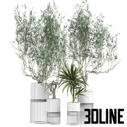 Flower Pack 164 0(3dline.net)