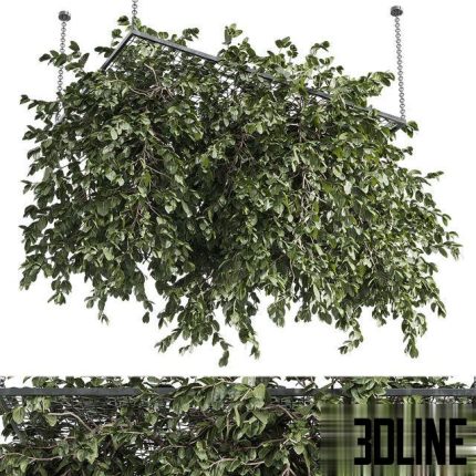 Hanging plants - outdoor plant set 171 0(3dline.net)