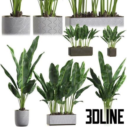 INTERIOR FLOWER PACK 1 0(3dline.net)