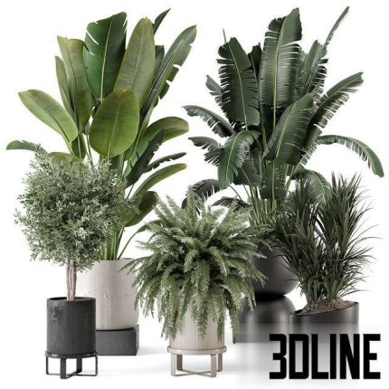 Indoor Plants in rusty Concrete Pot - Set 1167 0(3dline.net)