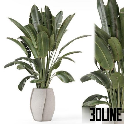 Indoor Plants in rusty Concrete Pot – Set 1612 0(3dline.net)