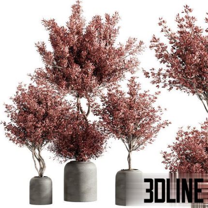 Indoor plant set 21 0(3dline.net)
