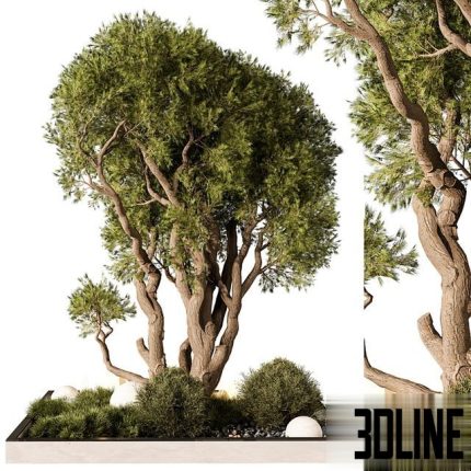 Outdoor Plant 247 0(3dline.net)