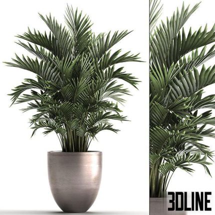 Plant collection 295 0(3dline.net)