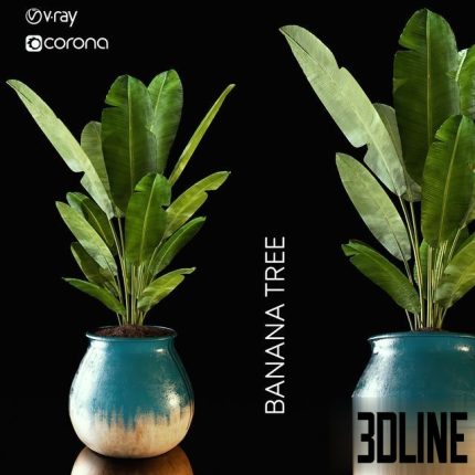 banana tree 0(3dline.net)