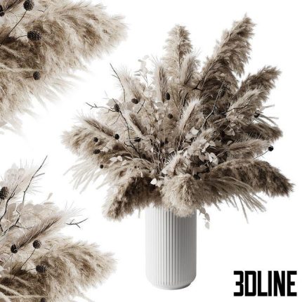 dry plants 0(3dline.net)