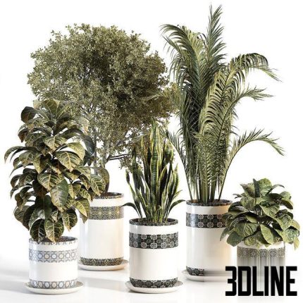 indoor plant 02 0(3dline.net)