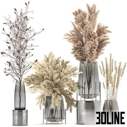 A collection of bouquets of dried flowers in glass vases Set 103 0(3dline.net)