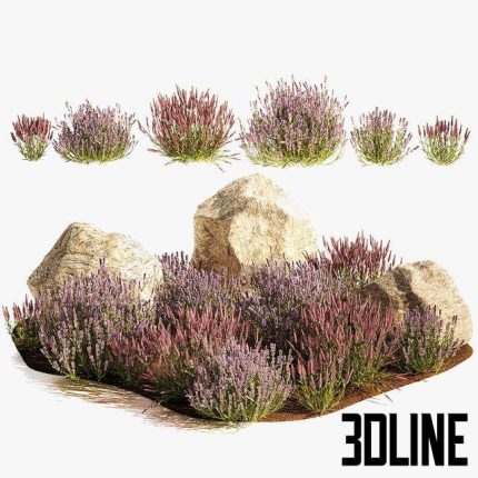 A set of lavender bushes for the garden and alpine slide 1191 0(3dline.net)