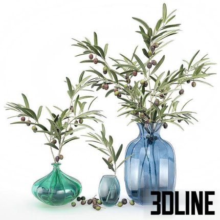 Bouquet of olive branches 0(3dline.net)