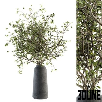 Bouquet – Green Branch in vase 40 0(3dline.net)