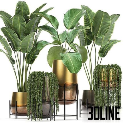 Collection of plants in golden pots Set 768 0(3dline.net)