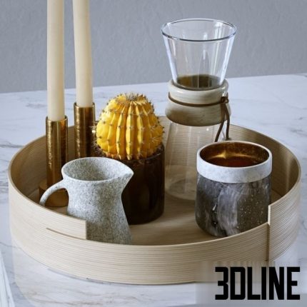 Decorative set cactus tray 0 (2)(3dline.net)