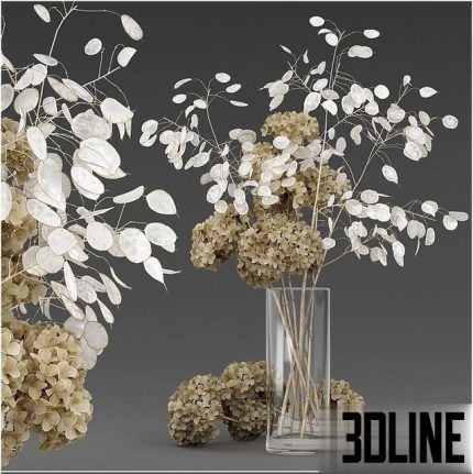 Dried flowers 0(3dline.net)