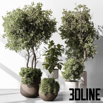 Indoor Plant 541 0(3dline.net)