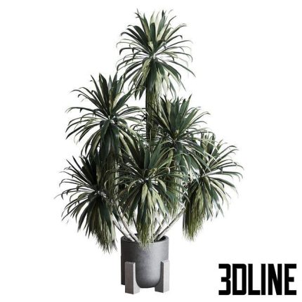 Palm plant in concrete dirt vase – Indoor plant 275 0(3dline.net)