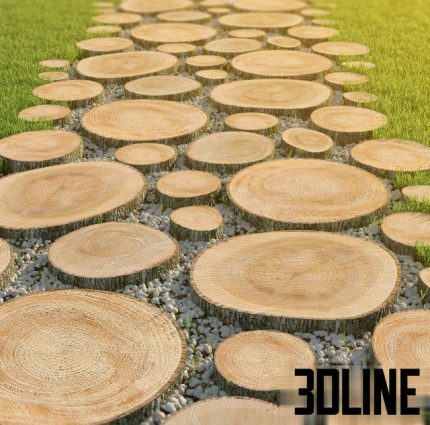 Track of the carcass with pebbles 0(3dline.net)