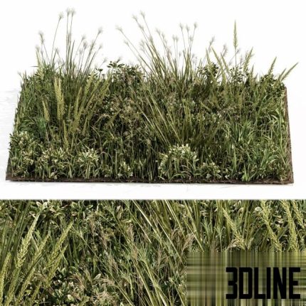 Wild Grass Green – Grass Set 03 1(3dline.net)