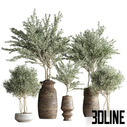 indoor plant set 23 0(3dline.net)