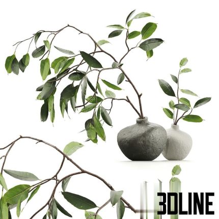 Branches in vases 454(3dline.net)