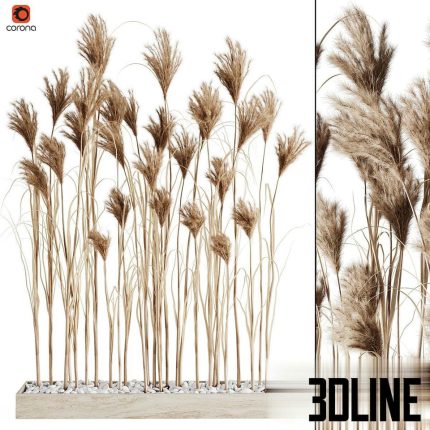 A bunch of Pampas 7(3dline.net)