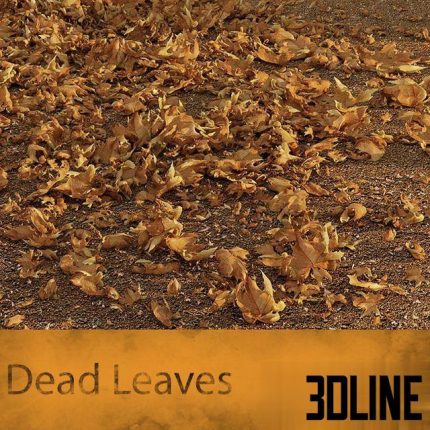 Dead Leaves 0(3dline.net)