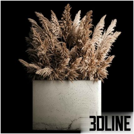 Dried flower bouquet of pampas f 268 (3dline.net)