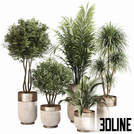 Indoor Plant Set 053 (3dline.net)