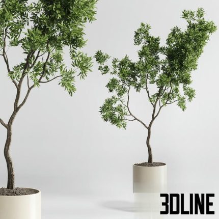Indoor plant 176 wooden vase plant tree pot(3dline.net)