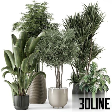 Indoor Plants Bau Pot Large (3dline.net)