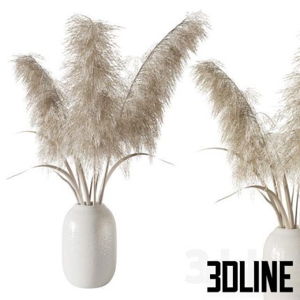 Pampas grass bouquet 0(3dline.net)