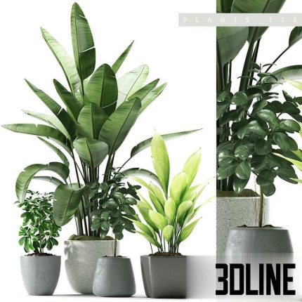 Plants 176(3dline.net)